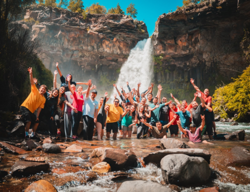 Paseo de fin de año a Los Pellines